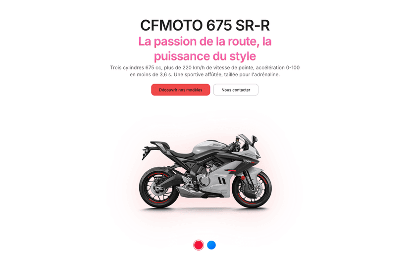 CF-Moto 675-SRR - Image 1 sur 1